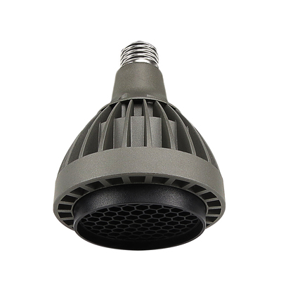 Adjustable Angle Led Par30 Bulb-Type 1