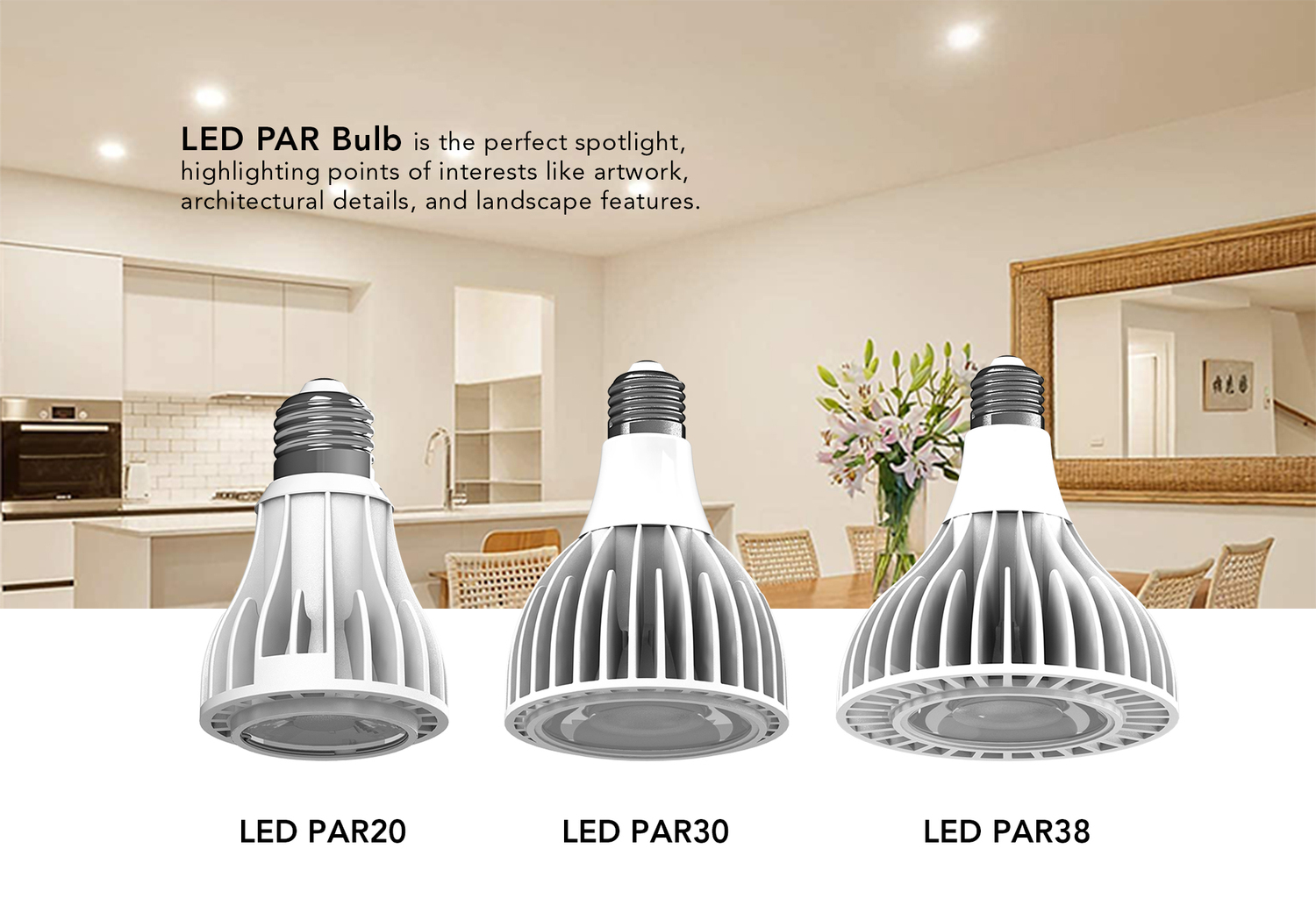 lanbot-led-par-bulb_01.jpg