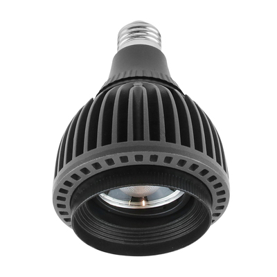 Zoomable 3CCT Dimmable Par30 Bulb