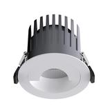 Polarized Spotlight Series