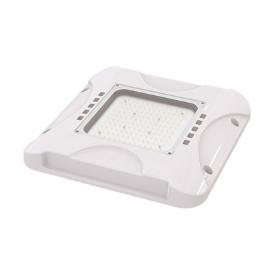 Wateproof IP65 LED Canopy Light