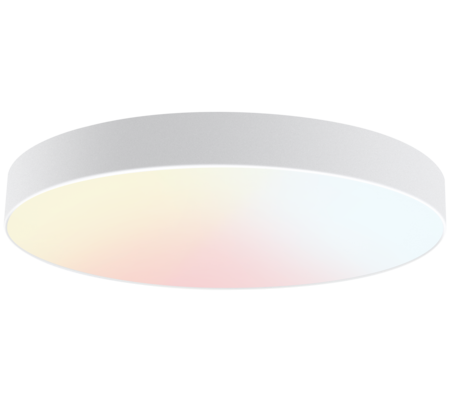6 Inch LED Ceiling lamp