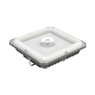 LED Garage & Canopy Light